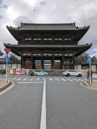 世界遺産【仁和寺】のニ王門は、２体の金剛力士像達に護られている