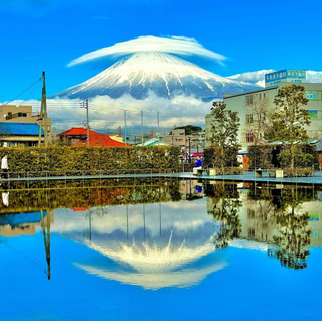 富士山世界遺産センター