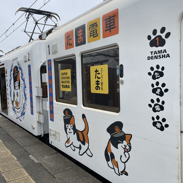TAMA II (Wakayama electric railway) 