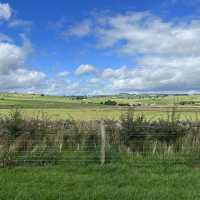 Camping at Five Arces Farm Campsite