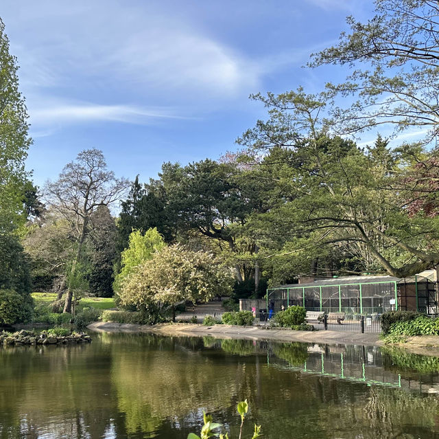 City park in Nottingham, Arboretum