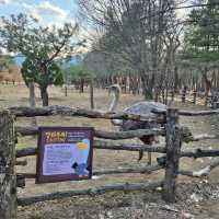 Trip To Nami Island