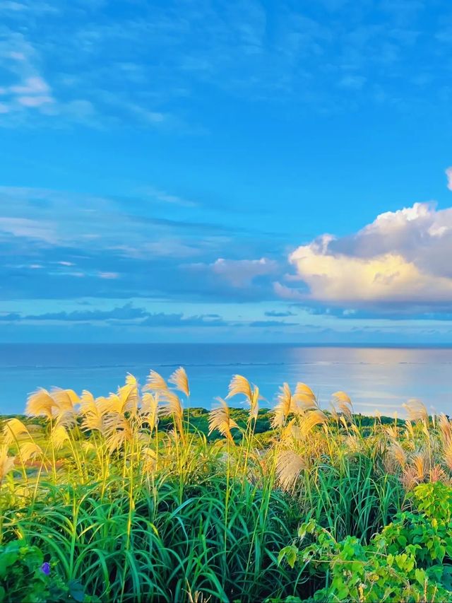 【絶景】穴場！あまり知られていない小浜島の夕日スポット🌅