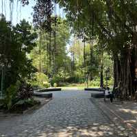 🌳🏡 พาเที่ยวสวนสมเด็จย่า คลองสาน