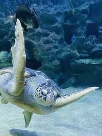 Aquaria KLCC