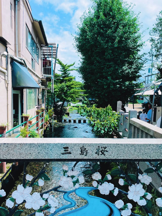 【行列攻略】1時間待ちは当たり前！？並んででも食べたい！三島の大人気うなぎ桜屋🥢