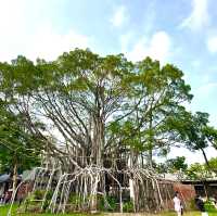 國家漫畫博物館 