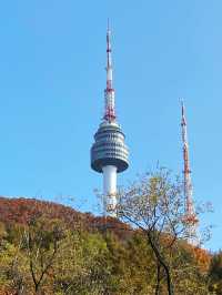 🗼 Tower at Northern Mountain