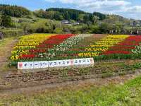 気軽に立ち寄れる原尻の滝