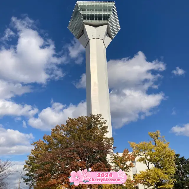 Pink 🌸 Atmosphere is on its way to Hokkaido🇯🇵