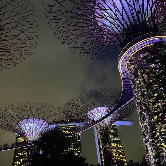 Garden by the bay 