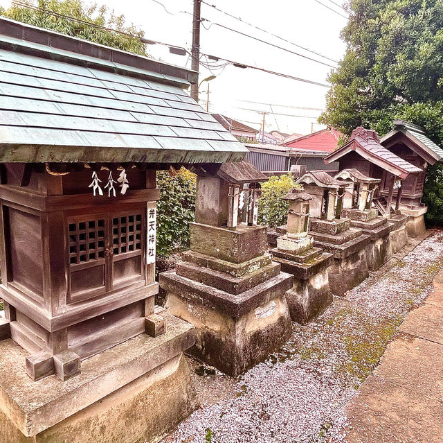 【宮戸神社/埼玉県】イケメンの神様を祀っている神社