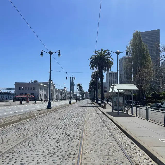 San Francisco in the Blossom season