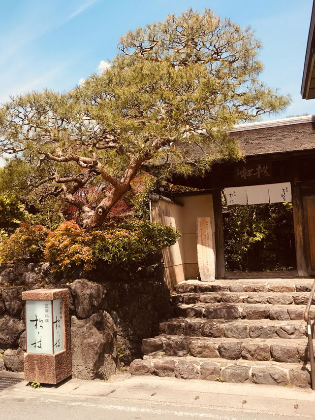 【京都嵐山竹林】悠閒漫步，打卡必去