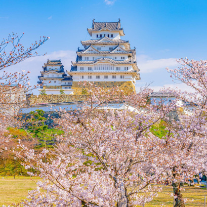 姫路城の桜 | Trip.com