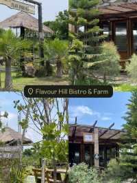 Flavour Hill Bistro & Farm 🌾🫏