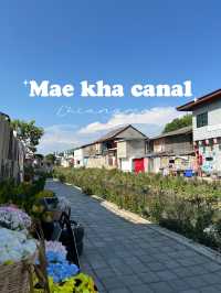 Mae kha canal คลองแม่ข่า เชียงใหม่