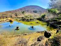 Jeolmul Natural Recreation Forest