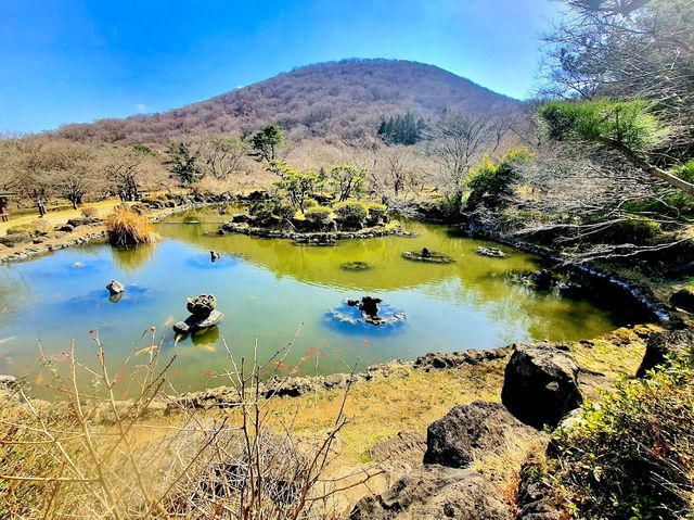 Jeolmul Natural Recreation Forest