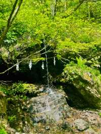 【長野県/戸隠神社の五社のうちの一社『戸隠神社 九頭龍社』