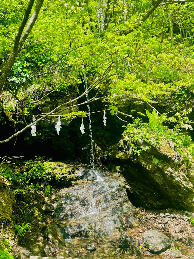 【長野県/戸隠神社の五社のうちの一社『戸隠神社 九頭龍社』