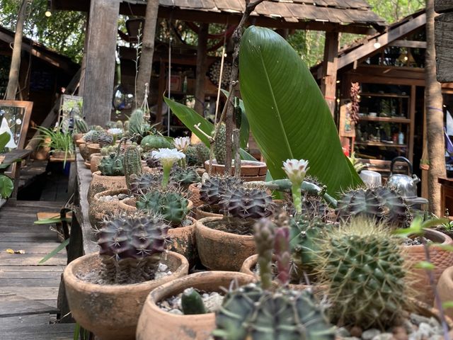 คาเฟ่ Skipper Garden At Roi-et ☕️🍵