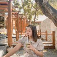  The Baristro Asian Style