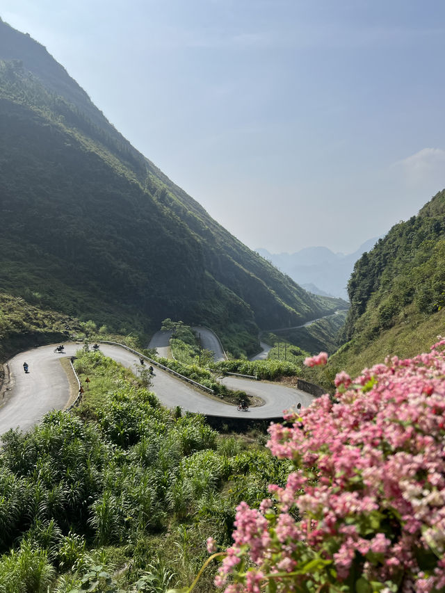 Ma Pi Leng Pass: Where Clouds Kiss the Cliffs and Meo Legends Echo