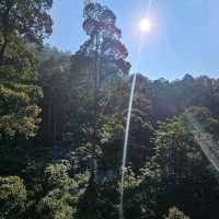 Forest Research Institute Malaysia