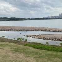 深圳人才公園 - 散步郊遊之旅