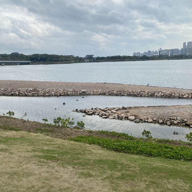 深圳人才公園 - 散步郊遊之旅