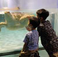 【 福岡之旅。以九州之海為主題的水族館 】 