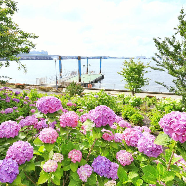 Symbol Promenade公園賞花