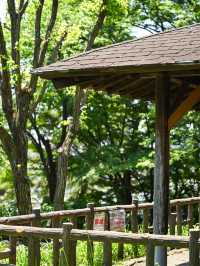 【東京｜多摩川】今が見頃！駅徒歩3分のあじさいスポット、多摩川台公園 ✨