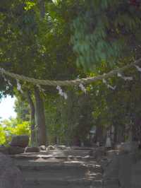 【埼玉 / 川越】おみくじが釣りみたいになってて楽しい川越氷川神社