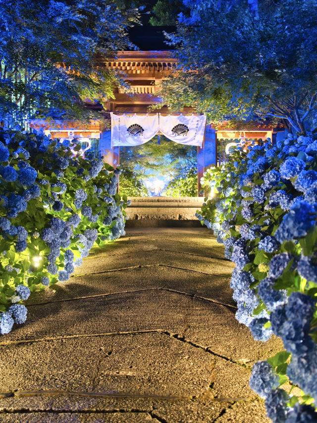 "死ぬまでに行きたい！世界の絶景"に選ばれた場所😍✨ライトアップver