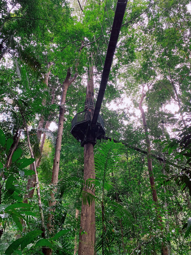 Private Chalet in Taman Negara Pahang, MY