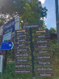 เข้าป่าฤดูฝนเที่ยวบน บ้านต้นไม้ แม่แมะ - เชียงดาว