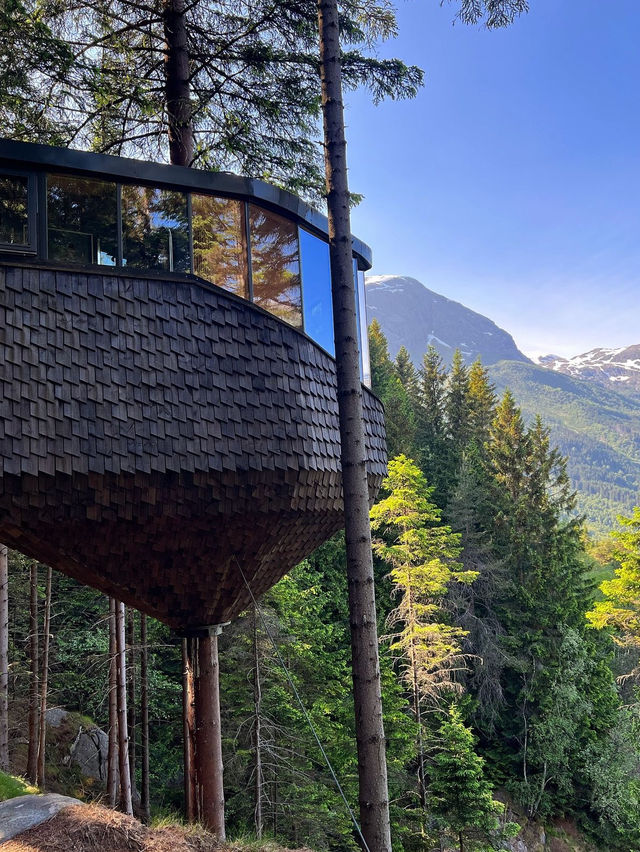 Woodnest - must stay in Norway 😍🤏