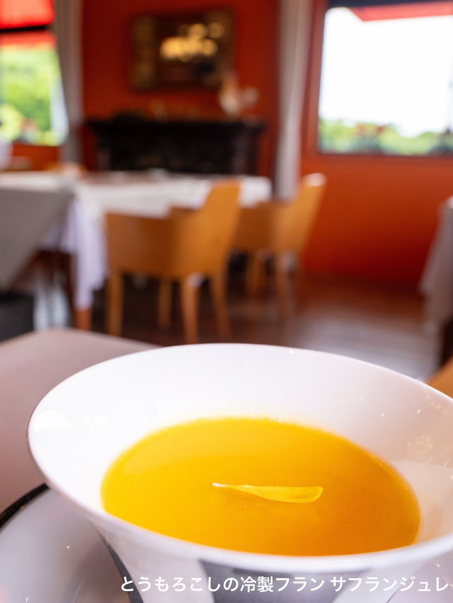期間限定！5500円で食べれる映えるフルコース🌻絶対おすすめ🌻