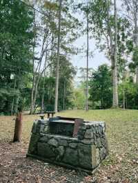 🇦🇺 Awesome Camping Site in Queensland, Australia