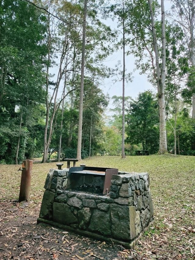 🇦🇺 Awesome Camping Site in Queensland, Australia