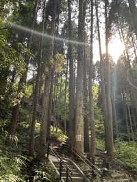 【熊本観光/自然】鍋ヶ滝