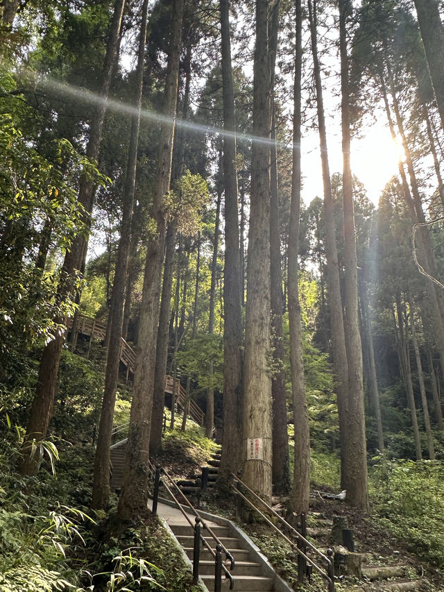 【熊本観光/自然】鍋ヶ滝