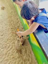 ตะลุยสวนสัตว์ Sriayuthaya Lion Park