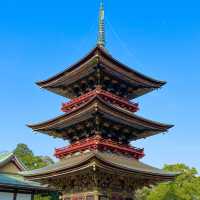 关东地区首屈一指的名寺建筑～ 成田山新勝寺