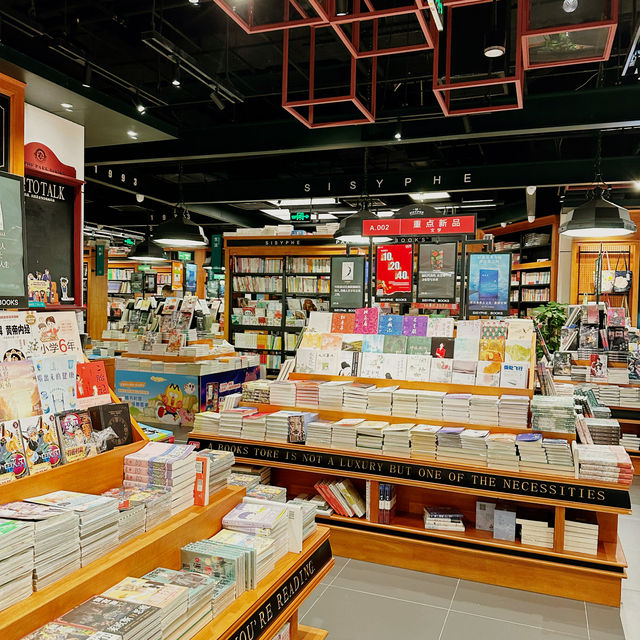A Haven for Book Lovers at Sisyphe Books