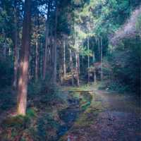 神秘的な滝壺と鳥居（岩門の滝・岐阜県関市）
