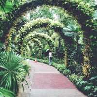 Singapore Botanic Garden