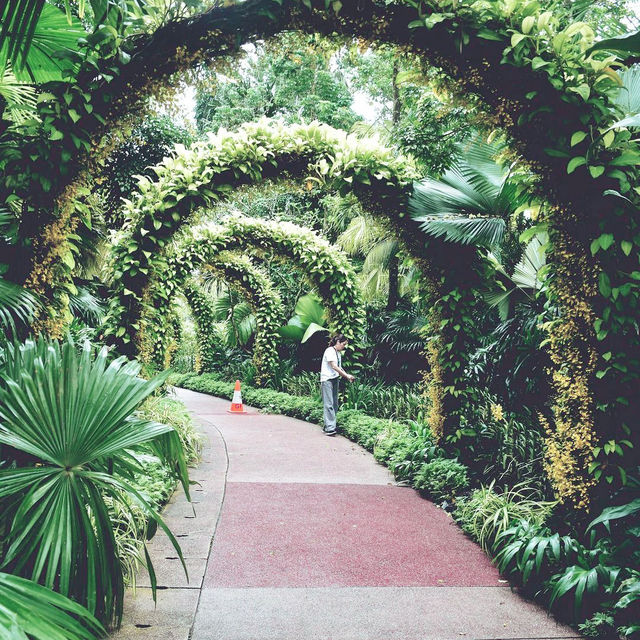 Singapore Botanic Garden